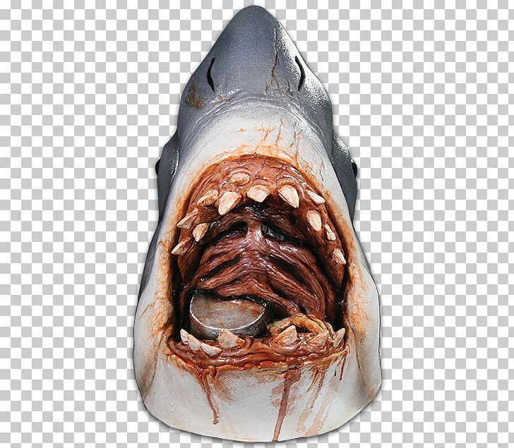 Shark Jaws Bruce YouTube Mask PNG, Clipart, Animal Source Foods, Bruce, Film, Fish, Great White Shark Free PNG Download
