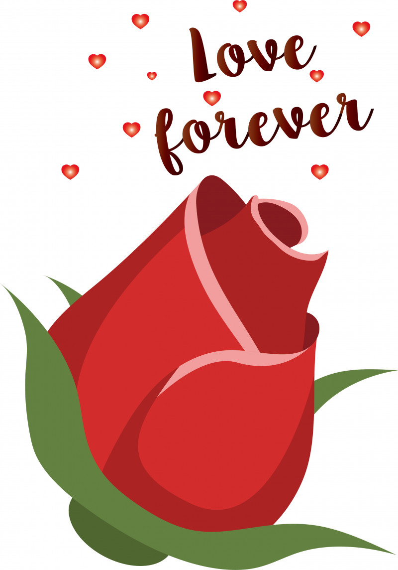Flower Greeting Card Greeting Red Petal PNG, Clipart, Flower, Fruit, Greeting, Greeting Card, Leaf Free PNG Download