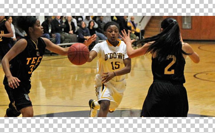 Bishop O'Dowd High School Basketball Moves Women's Basketball PNG, Clipart,  Free PNG Download
