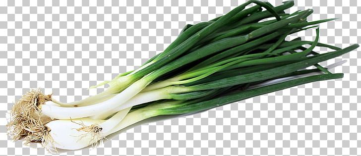 Calxe7ot Scallion Onion Ring Vegetable PNG, Clipart, Calxe7ot, Cooking, Food, Food Drinks, Fried Onion Free PNG Download