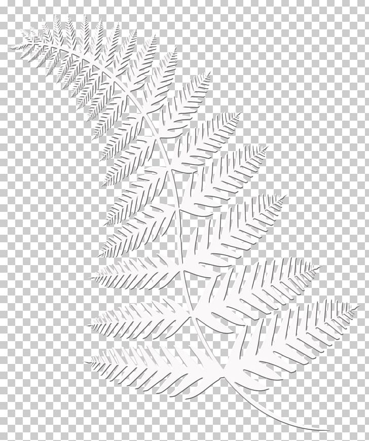Symmetry Pattern Line Angle Leaf PNG, Clipart, Angle, Art, Black And White, Branch, Branching Free PNG Download