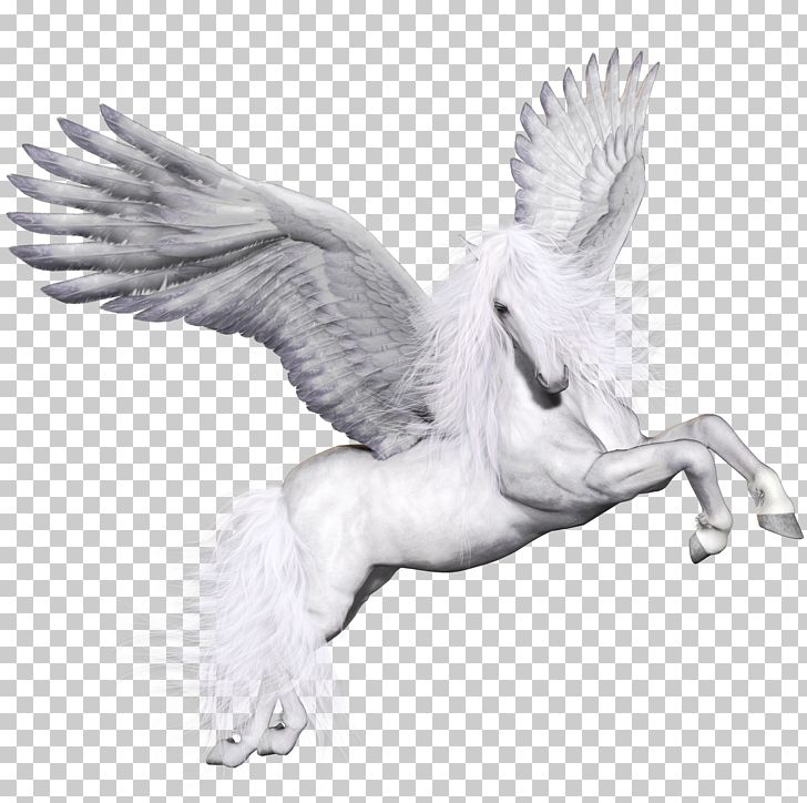 Pegasus Great Eccleston Copp Church Of England Primary School Icon PNG, Clipart, Beak, Bird, Digital Image, Download, Ducks Geese And Swans Free PNG Download