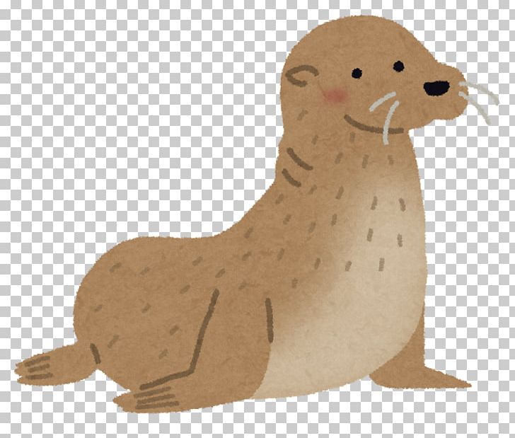 Sea Lion Fur Seal Earless Seal Cat Caniformia PNG, Clipart, Acc, Animal, Animal Figure, Animals, Beak Free PNG Download