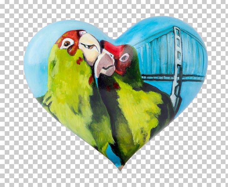 2018 MINI Cooper Lovebird Parrot San Francisco PNG, Clipart, 2018, 2018 Mini Cooper, 2018 Mini E Countryman, Beak, Bird Free PNG Download