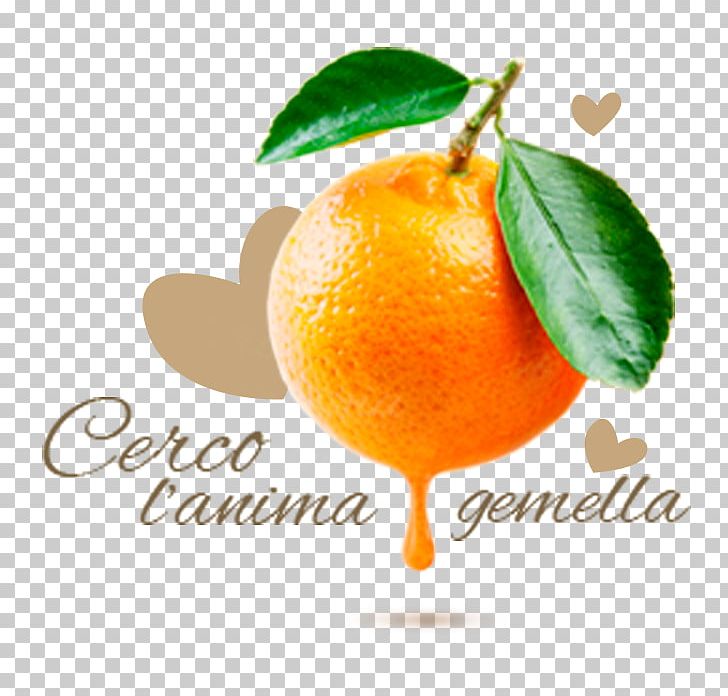 Orange Juice Mandarin Orange Clementine Fruit PNG, Clipart, Bitter Orange, Citrus, Clementine, Diet Food, Food Free PNG Download