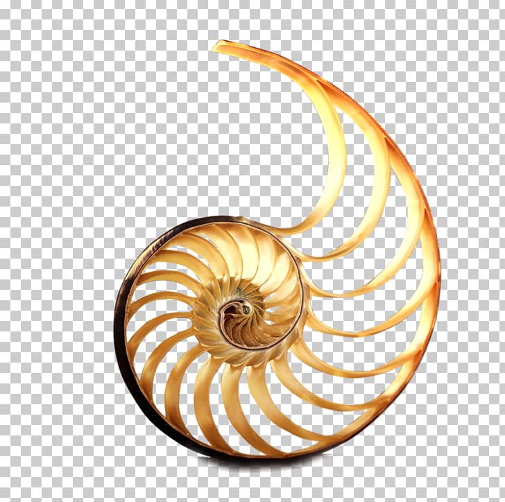 Real Estate Real Property Snail PNG, Clipart, Animals, Building, Cartoon Snail, Chambered Nautilus, Computer Icons Free PNG Download