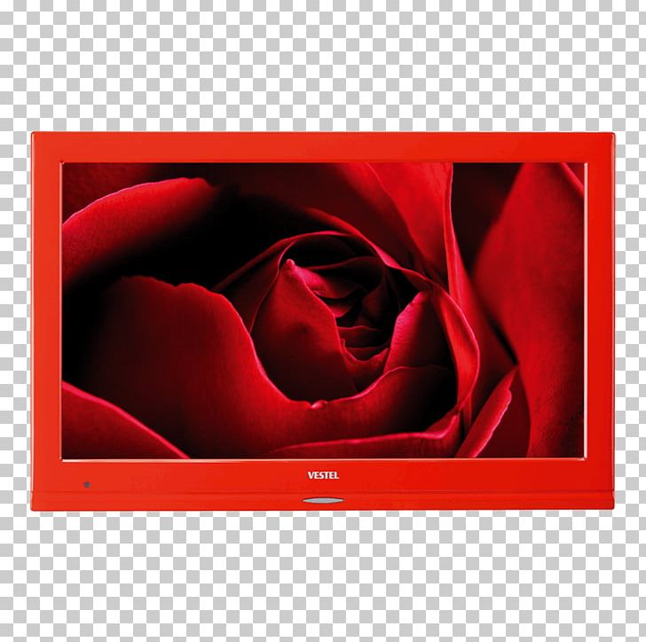 Red Display Device Television Color LED-backlit LCD PNG, Clipart, 1080p, Color, Color Television, Display Device, Flower Free PNG Download