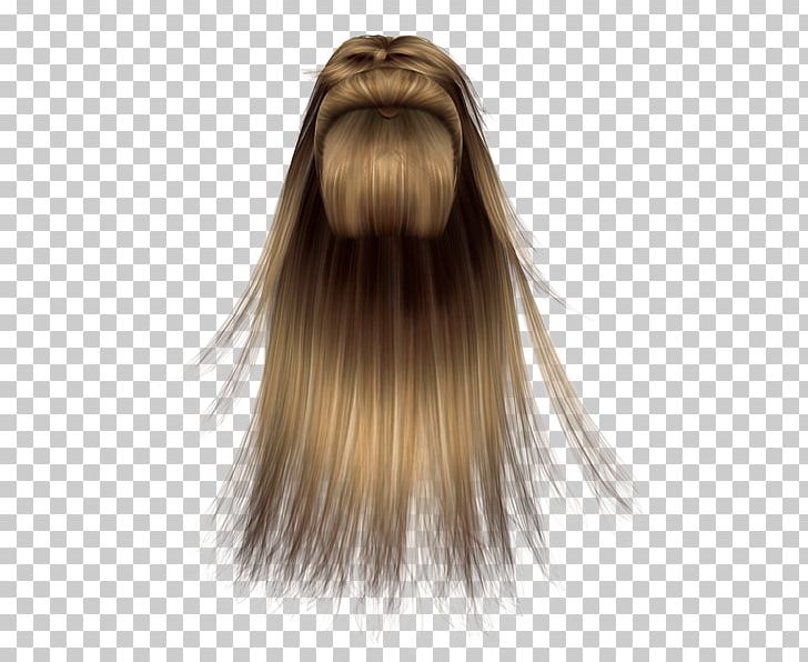 Wig Hairstyle Hair Coloring PNG, Clipart, Brown Hair, Digital Image, Gimp, Hair, Hairbrush Free PNG Download