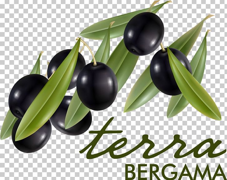 Olive Oil Yukarıkırıklar Köyü Olive Branch Bergama PNG, Clipart, Bergama, Com, Food, Food Drinks, Fruit Free PNG Download