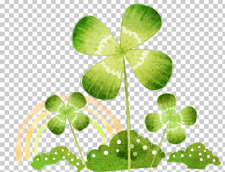 Oxalis Acetosella Four-leaf Clover PNG, Clipart, Cartoon, Clover, Download, Flowers, Fourleaf Clover Free PNG Download