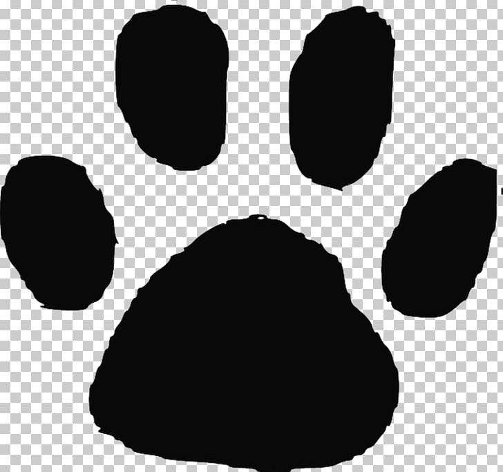 Cat Dog Felidae Paw Animal Track PNG, Clipart, Animal, Animals, Animal Track, Big Cat, Black Free PNG Download