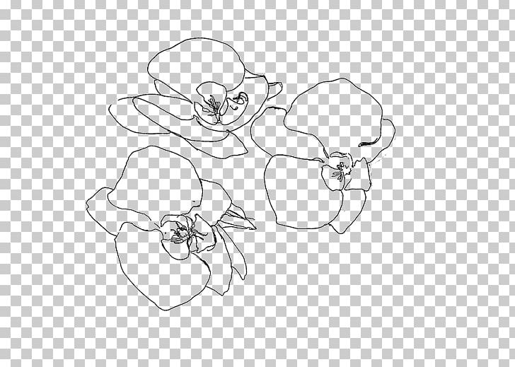 Drawing Flower Lilium Sketch PNG, Clipart, Angle, Arm, Black, Botany, Branch Free PNG Download