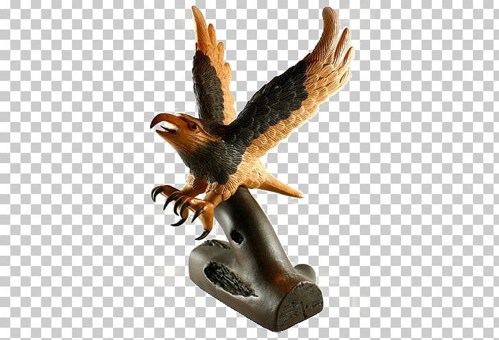 Eagle Hawk Google S PNG, Clipart, Animals, Archive, Beak, Bird, Bird Of Prey Free PNG Download
