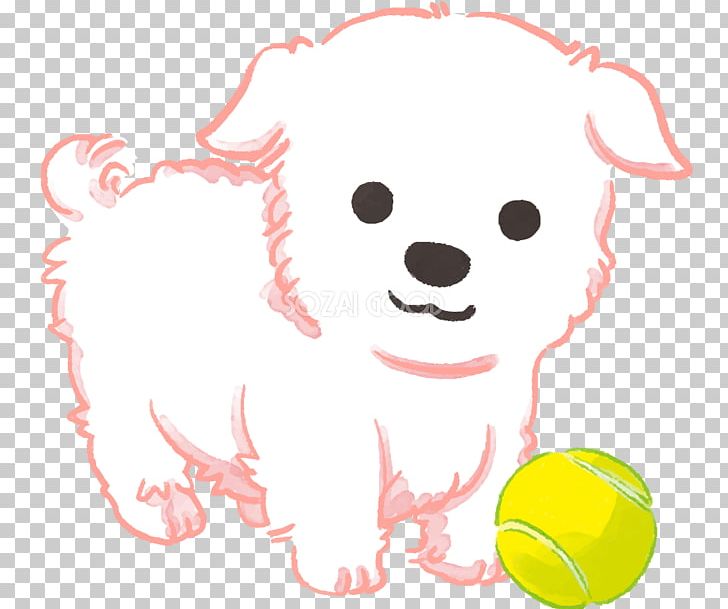 Puppy Maltese Dog PNG, Clipart, Animals, Art, Ball, Carnivoran, Clip Art Free PNG Download