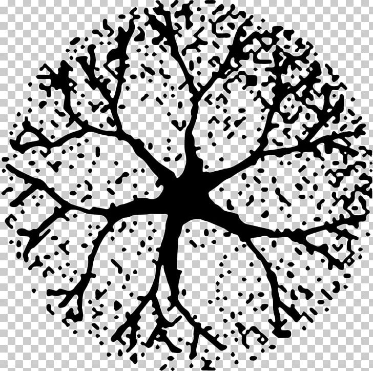 Site Plan Architecture Tree PNG, Clipart, Architecture, Area, Artwork, Black, Black And White Free PNG Download