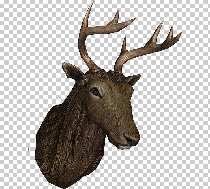 Elk Reindeer Antler Trophy Hunting PNG, Clipart, Animal, Antler, Blueprint, Cartoon, Cow Free PNG Download