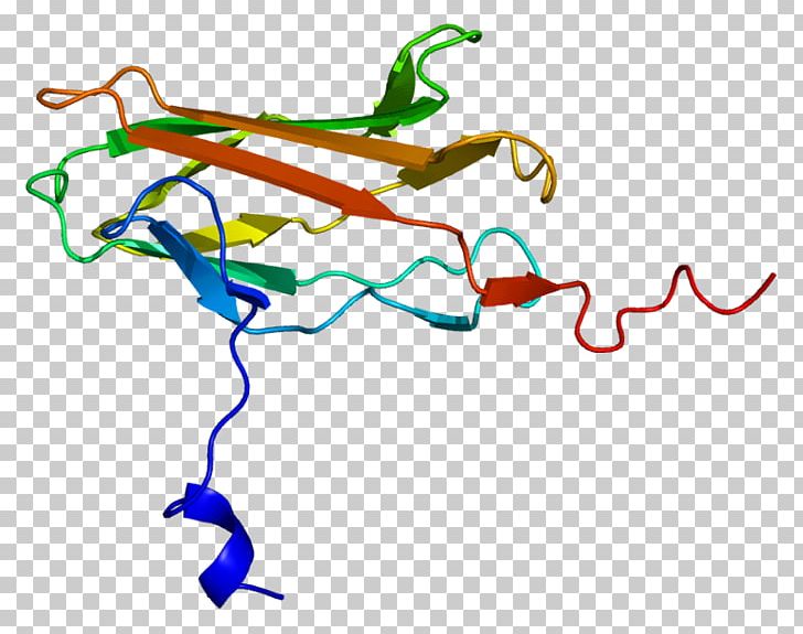 RUNX2 Core Binding Factor Transcription Factor Gene RUNX3 PNG, Clipart, Area, Artwork, Cancer, Cell, Cellular Differentiation Free PNG Download