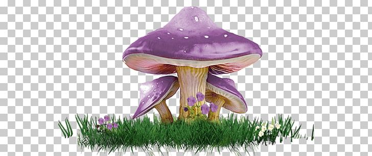 Amanita Muscaria Mushroom PNG, Clipart, 3d Computer Graphics, Amanita, Amanita Muscaria, Amanita Virosa, Common Mushroom Free PNG Download