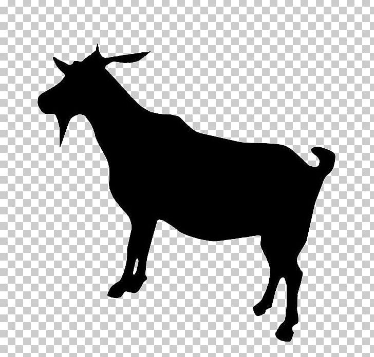 Boer Goat Dorper Cattle PNG, Clipart, Animals, Argali, Black And White, Bull, Cartoon Goat Free PNG Download