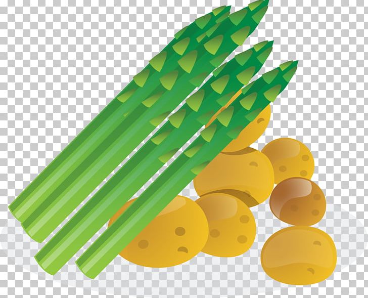 Asparagus PNG, Clipart, Asparagus, Commodity, Corn On The Cob, Download, Drawing Free PNG Download