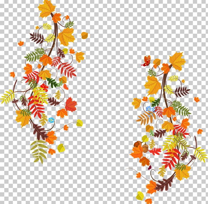 Autumn Leaf Color Autumn Leaf Color Floral Design PNG, Clipart, Autumn, Autumn Leaf Color, Branch, Computer Font, Cut Flowers Free PNG Download