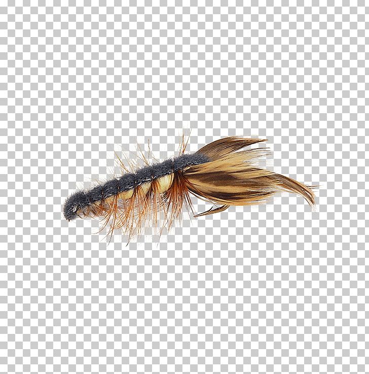 Crayfish Fly Fishing Bass Membrane Insect PNG, Clipart, Artificial Fly, Bass, Crayfish, Fishing, Fly Free PNG Download