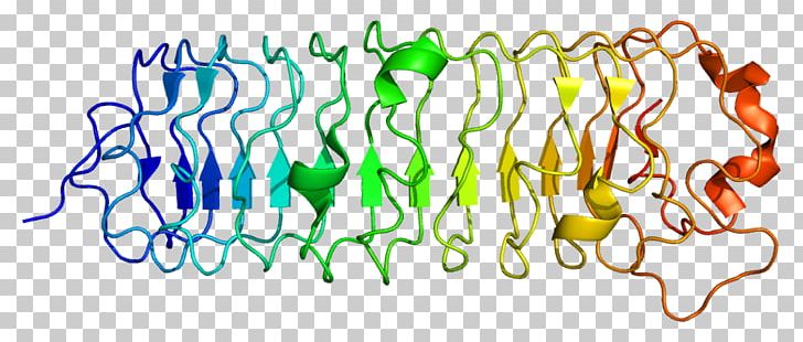 Decorin Protein Epidermal Growth Factor Receptor Proteoglycan Biglycan PNG, Clipart, Chloromethane, Dcn, Epidermal Growth Factor Receptor, Erbb, Gene Free PNG Download