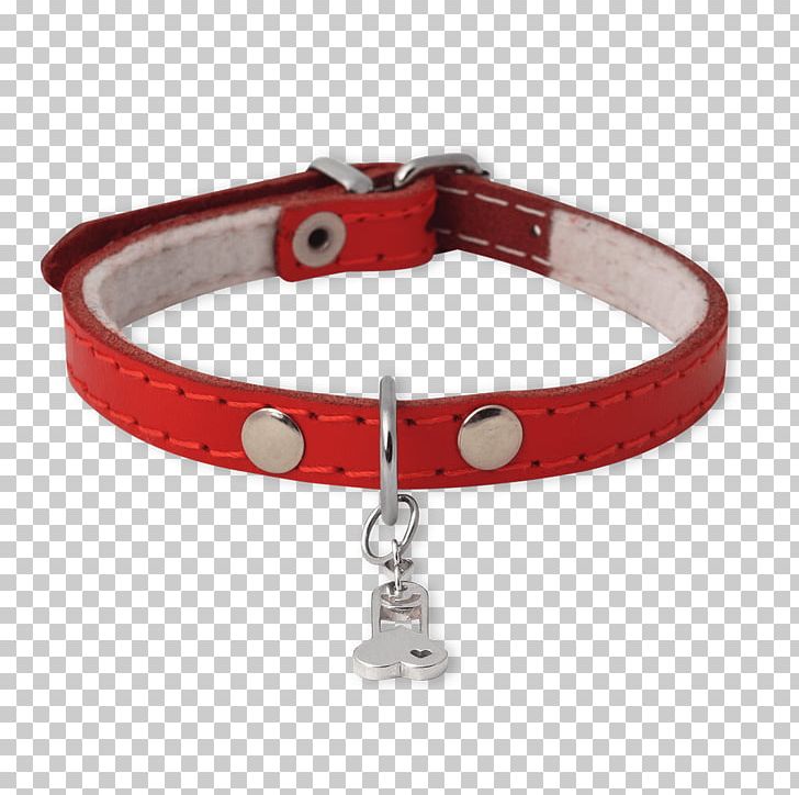 Dog Collar Dog Collar Bracelet PNG, Clipart, Animals, Bracelet, Collar, Collars, Dog Free PNG Download