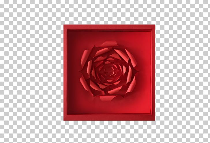 Garden Roses Beach Rose Icon PNG, Clipart, Beach Rose, Big, Big Red, Box, Broken Heart Free PNG Download