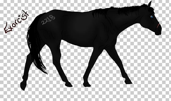 Mustang Stallion Mare Rein Horse Harnesses PNG, Clipart,  Free PNG Download