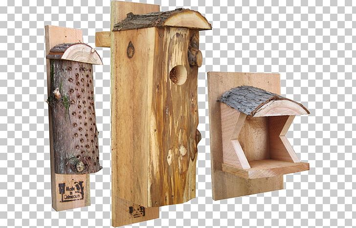 Nest Box Woodpecker Bird Nest Northern Flicker PNG, Clipart, Angle, Backyard, Bird, Birdhouse, Bird Nest Free PNG Download