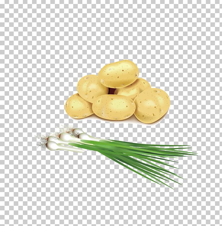Potato Garlic PNG, Clipart, Creativ, Curing, Download, Euclidean Vector, Food Free PNG Download