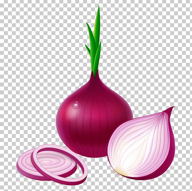 Potato Onion Red Onion Vegetable Garlic White Onion PNG, Clipart