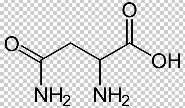 Aspartic Acid Amino Acid Dicarboxylic Acid PNG, Clipart, Acetic Acid, Acid, Amine, Amino Acid, Angle Free PNG Download