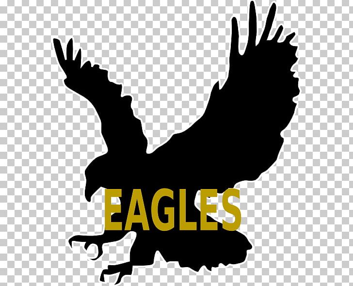 Bald Eagle Bird Silhouette PNG, Clipart, Animals, Art, Artwork, Bald Eagle, Beak Free PNG Download