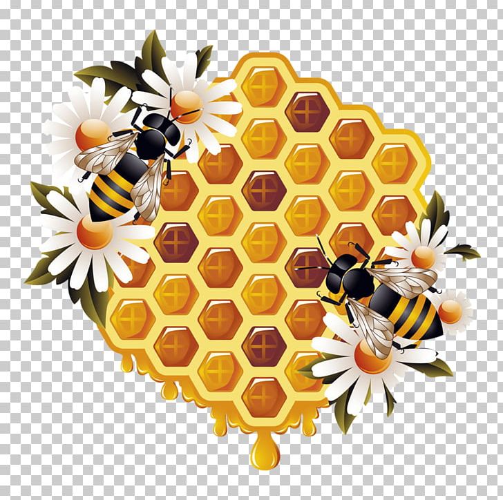 Honey Bee Beehive Bumblebee PNG, Clipart, Animal, Animals, Bee, Bee Hive, Bee Honey Free PNG Download