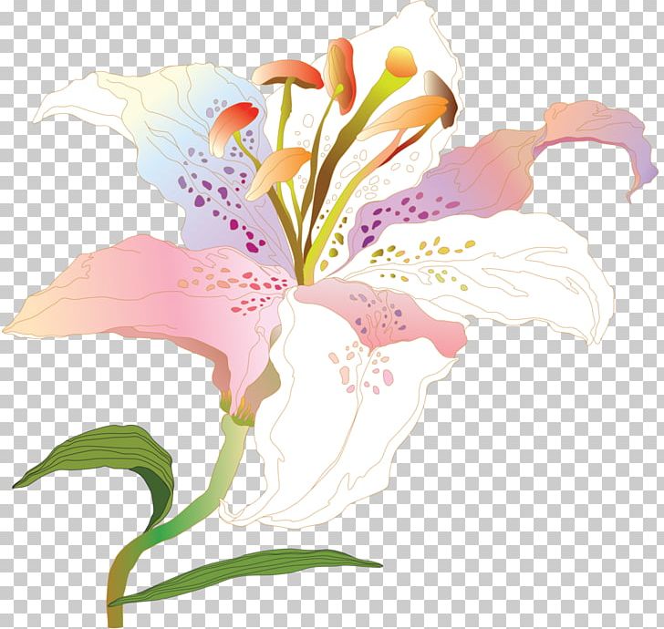 Lilium Flower Lily Of The Incas Plant PNG, Clipart, Alstroemeriaceae, Chrysanthemum, Floral Design, Floristry, Flower Free PNG Download