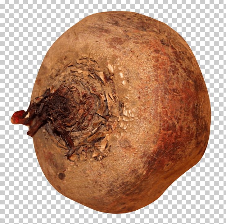 Potato Beetroot Portable Network Graphics Vegetable Food PNG, Clipart, Beatroot, Beet, Beetroot, Common Beet, Computer Icons Free PNG Download