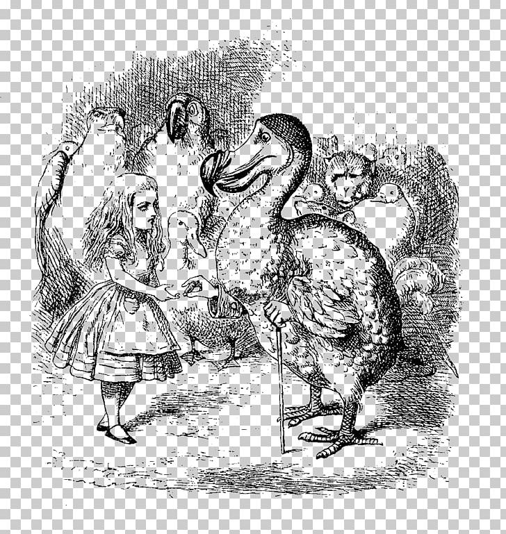 Alice's Adventures In Wonderland Dodo White Rabbit Tweedledum PNG, Clipart,  Free PNG Download