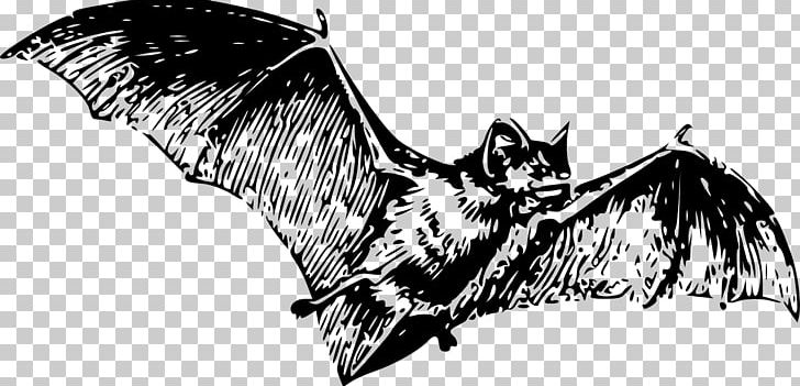 Bat Drawing PNG, Clipart, Animals, Art, Artwork, Bat, Beak Free PNG Download