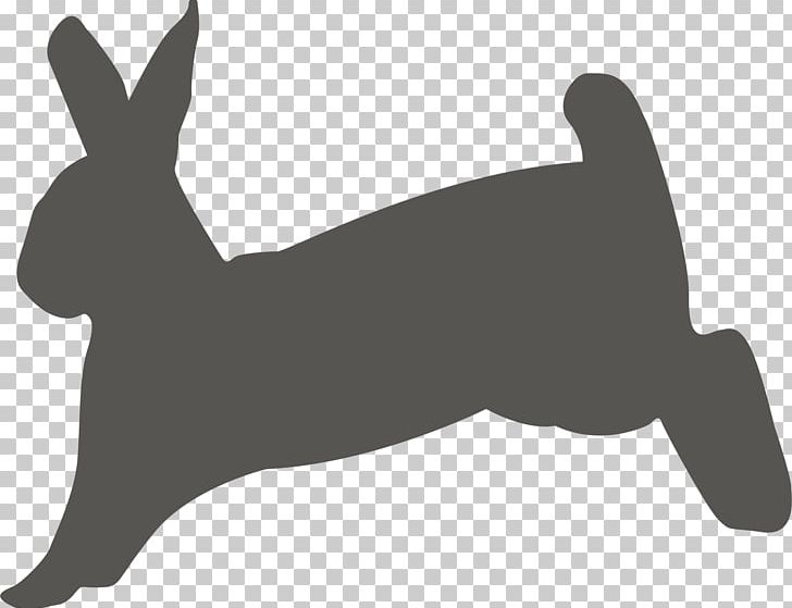 Hare Rabbit Show Jumping Easter Bunny PNG, Clipart, Animal, Animals, Black, Black And White, Bunnies Free PNG Download