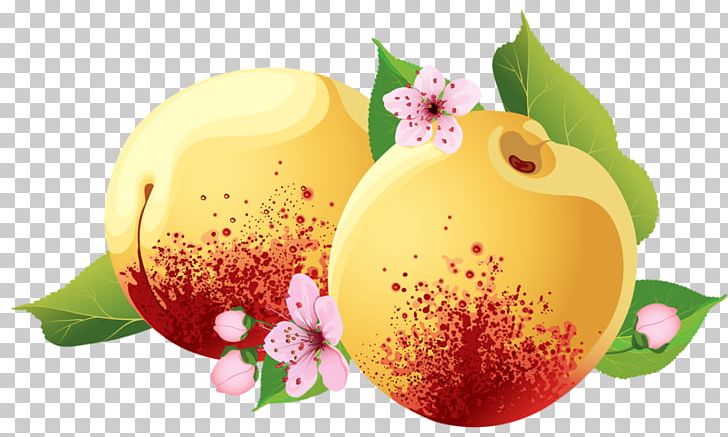 Marmalade Peach Fruit PNG, Clipart, Apricot, Auglis, Blossom, Computer Wallpaper, Diet Food Free PNG Download