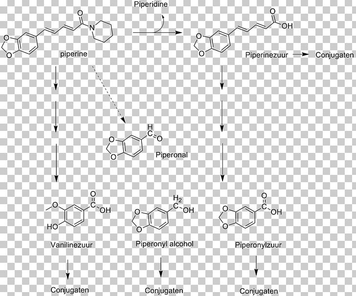 Piperine Glucuronidation Glucuronic Acid Glucuronosyltransferase Biotransformation PNG, Clipart, Amidase, Angle, Area, Bile Acid, Biotransformation Free PNG Download