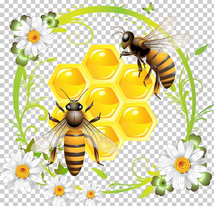 Western Honey Bee Honeycomb PNG, Clipart, Arthropod, Bee, Beehive, Bee Pollen, Bumblebee Free PNG Download
