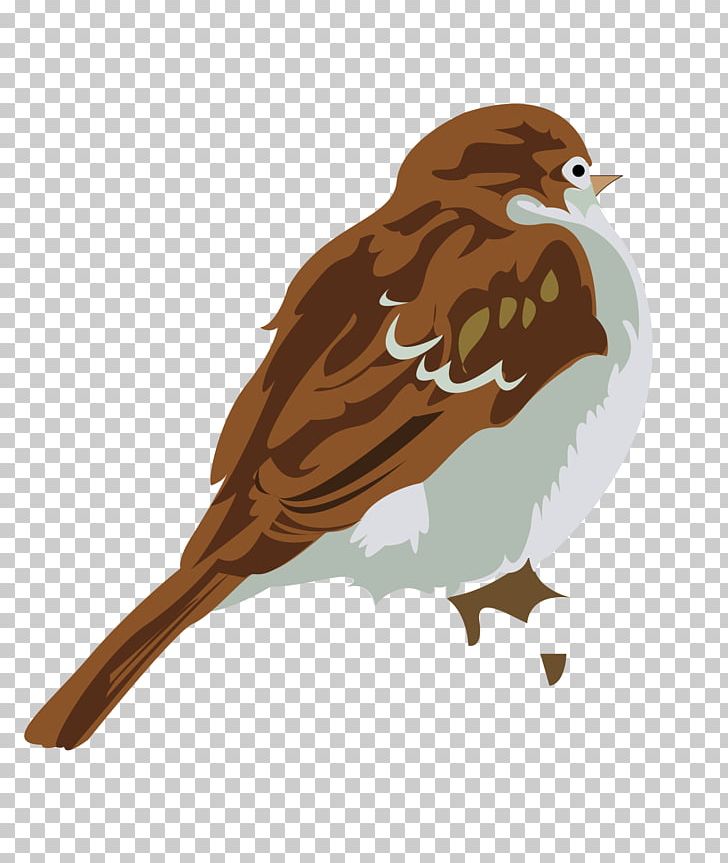 Watercolor Painting PNG, Clipart, Animals, Bird, Brown, Color, Encapsulated Postscript Free PNG Download