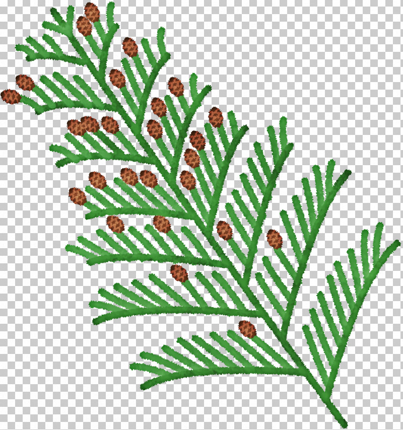 Christmas Tree PNG, Clipart, Branch, Christmas Day, Christmas Tree, Christmas Tree M, Fir Free PNG Download