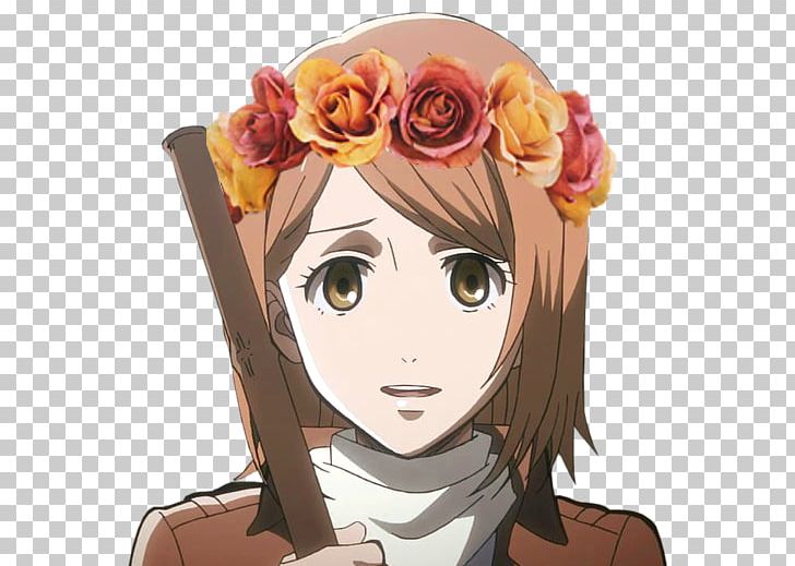 Attack On Titan Light Yagami Anime Marco Bodt Petra Rall PNG, Clipart, Anime, Artwork, Attack On Titan, Brown Hair, Cartoon Free PNG Download
