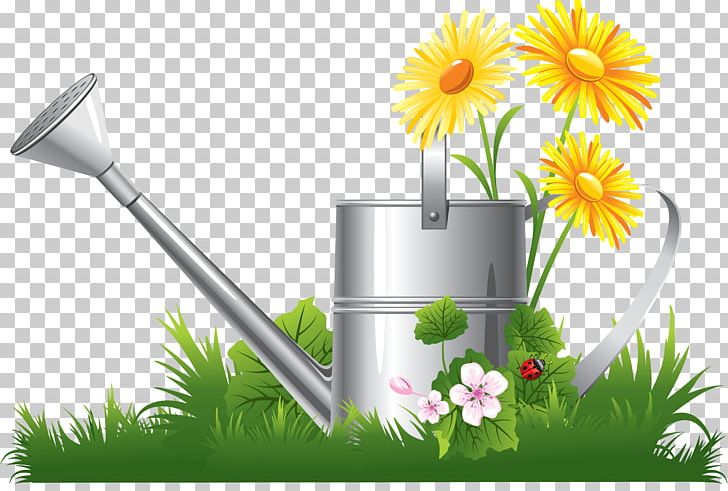 Chamomile PNG, Clipart, Art, Chamomile, Daisy, Document, Encapsulated Postscript Free PNG Download