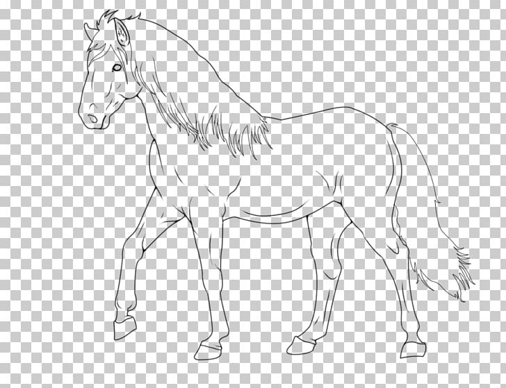 Mane Foal Mustang Stallion Bridle PNG, Clipart, Anima, Arm, Artwork, Black And White, Bridle Free PNG Download