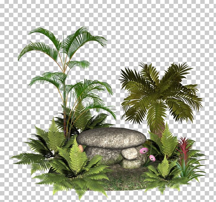 Plant PNG, Clipart, Arecales, Art, Computer Icons, Desktop Wallpaper, Deviantart Free PNG Download